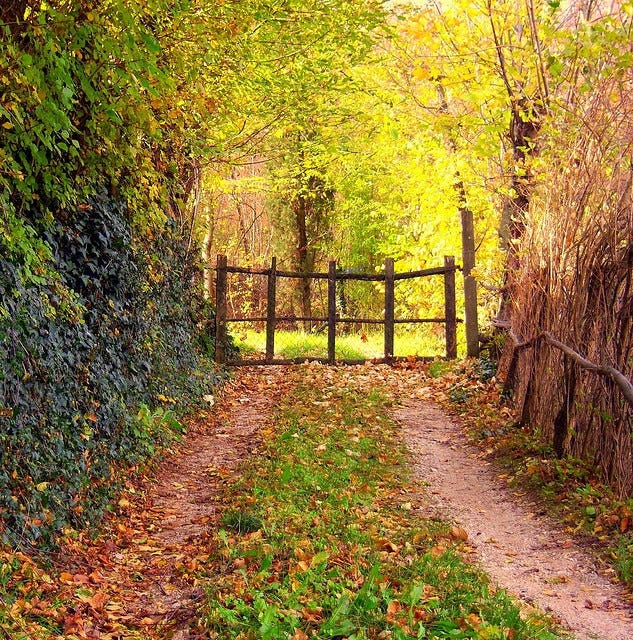 The country gate