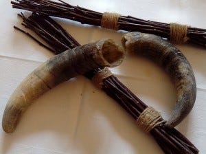 seresin cow horns - a load of bull or viable system? (Photo © Simon Woolf) seresin cows horns