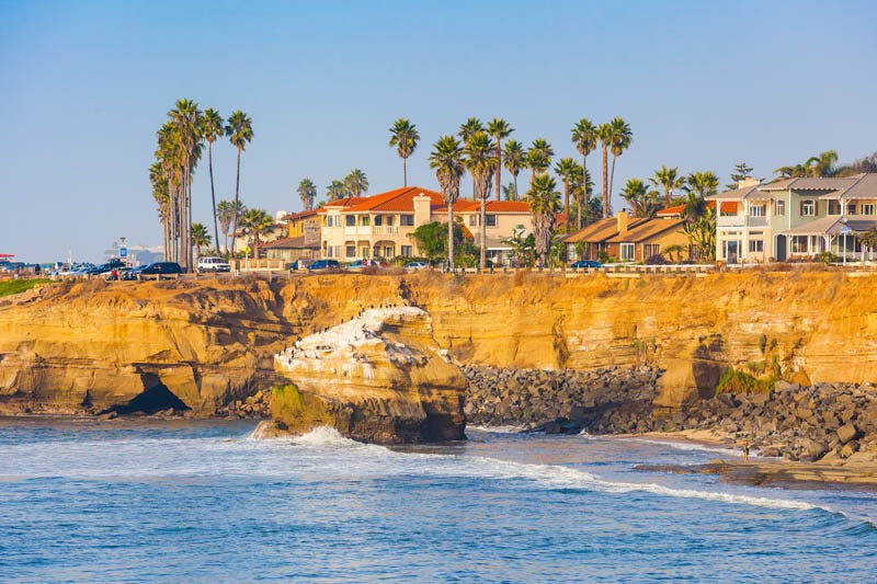 Mexican fan palm, Palm Tree, Palm Trees, Beach Coastline, San Diego, Washingtonia robusta Mexican fan palm, Palm Tree, Palm Trees, Beach Coastline, San Diego, Washingtonia robusta