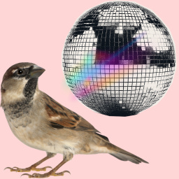 Sparklandia