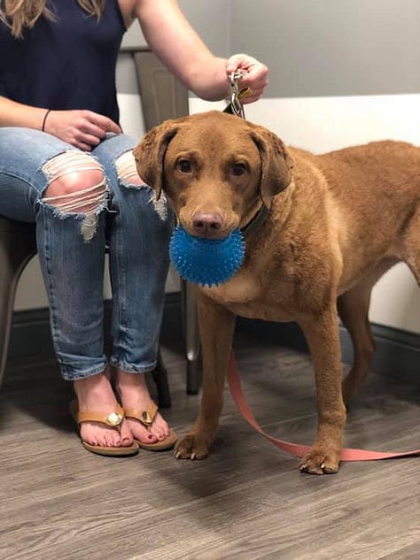 Dr. Melissa Magnuson with her patients