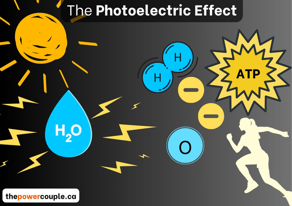 How to nourish babies with electric food 