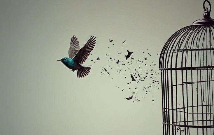 This may contain: a bird flying away from a cage with birds in it This may contain: a bird flying away from a cage with birds in it