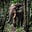 Forest Elephant's avatar
