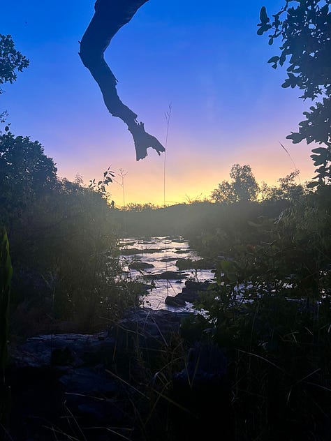 Three beautiful images of the Northern Territory. A rocky watering hole, a dramatic gorge. and the last glowing purple light of a sunset.
