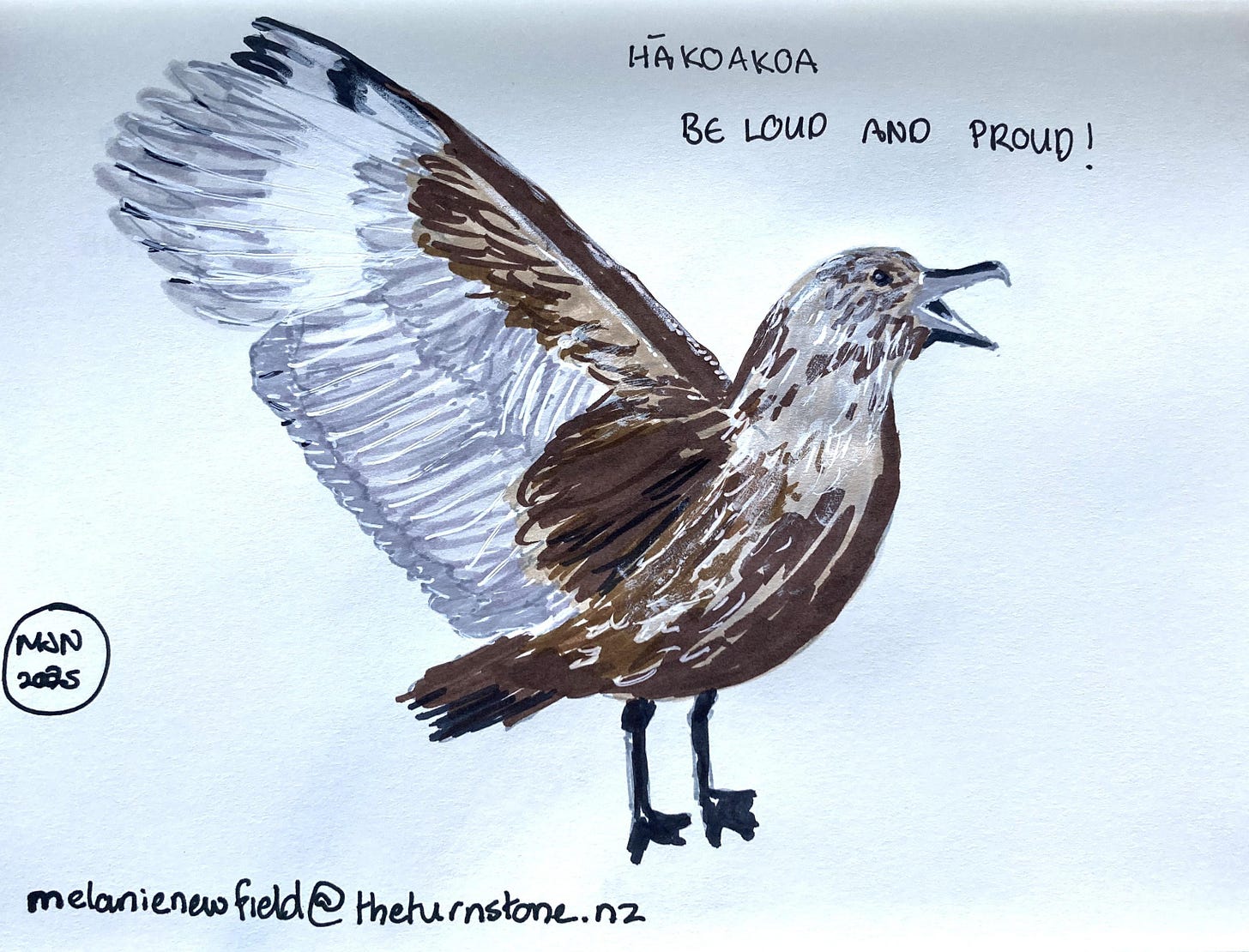 A felt pen drawing of hākoakoa, a large brown seabird, wings extended and beak open, caption "be loud and proud"
