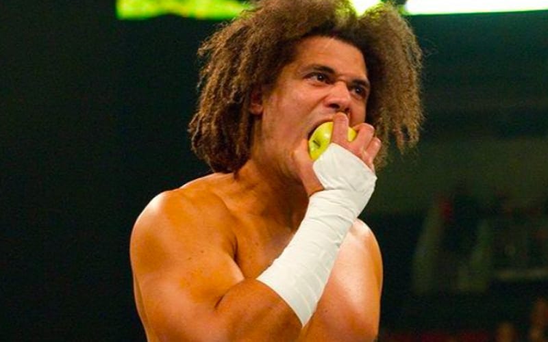 Carlito