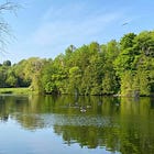 Between Our Steps: Senses