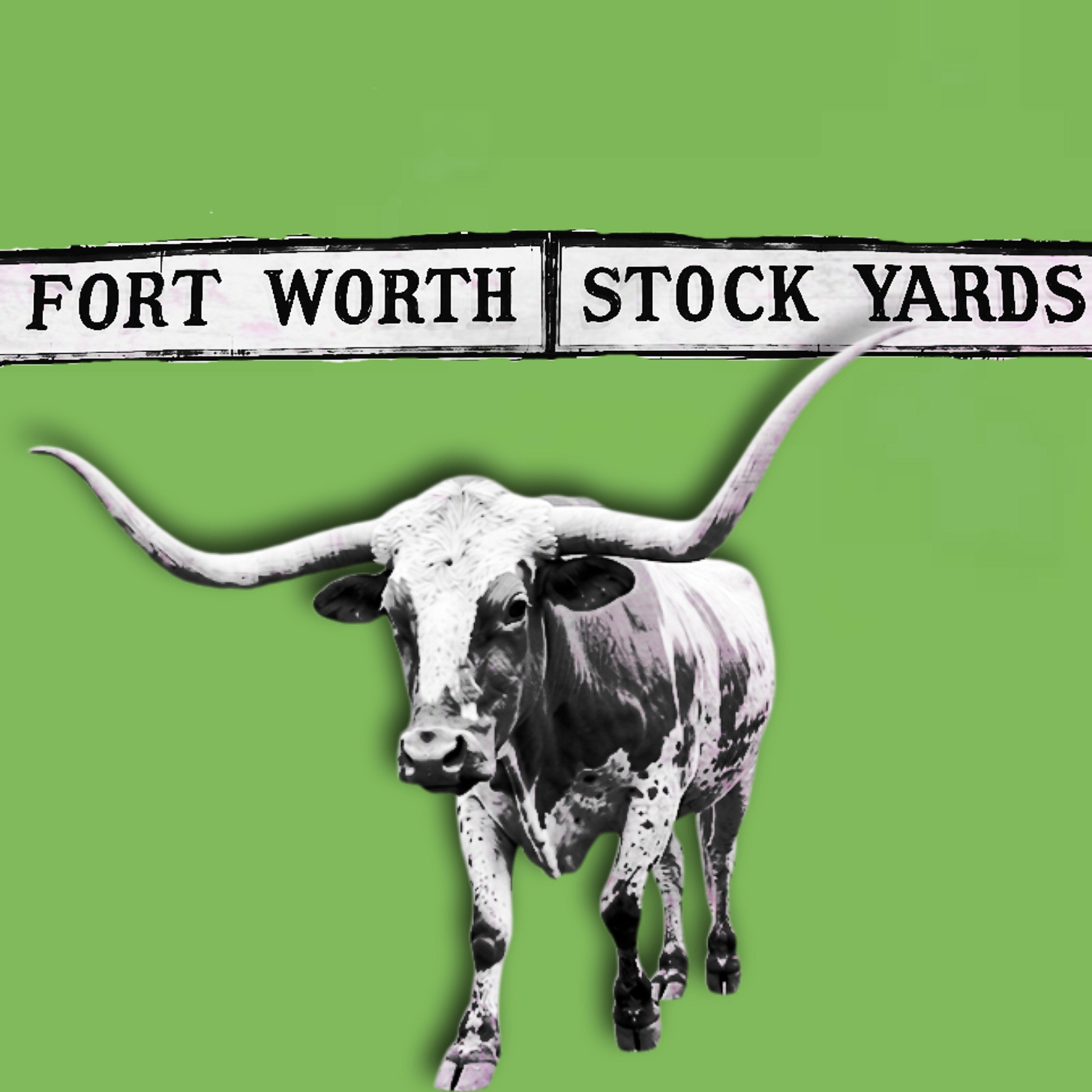 A Longhorn steer walking under a Fort Worth Stockyards sign. This is a photo illustration with blacks and grays over the sign and the steer and an olive green background. A Longhorn steer walking under a Fort Worth Stockyards sign. This is a photo illustration with blacks and grays over the sign and the steer and an olive green background.