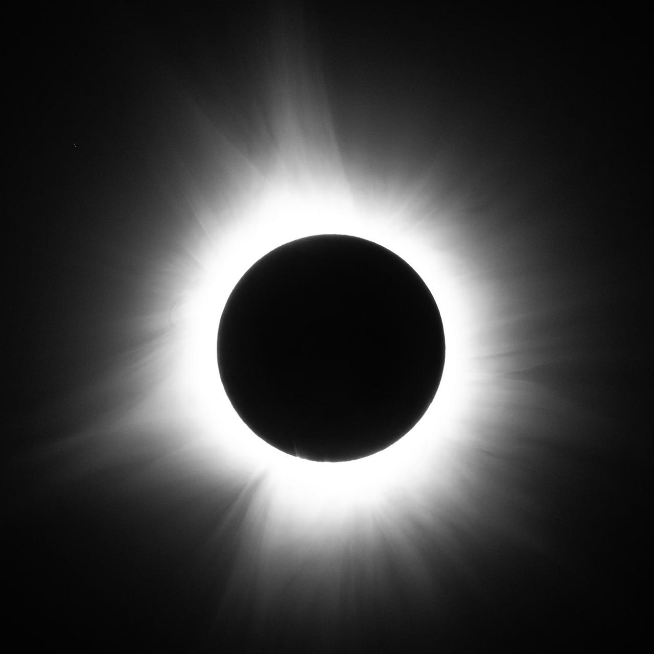 Dispatches from the Catacombs