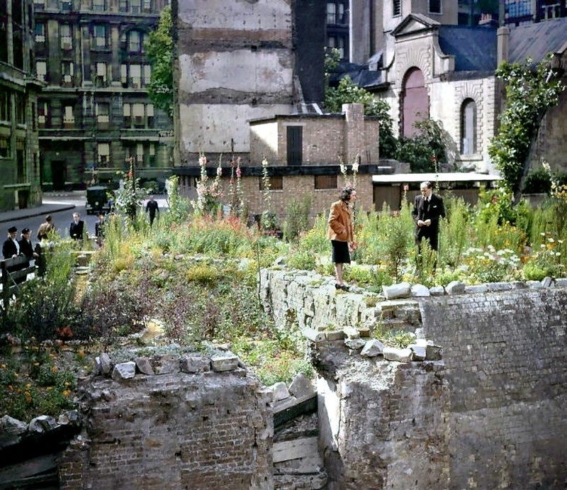 Bombed London 1943. | Flowers grow on bomb site in Gresham S… | Flickr