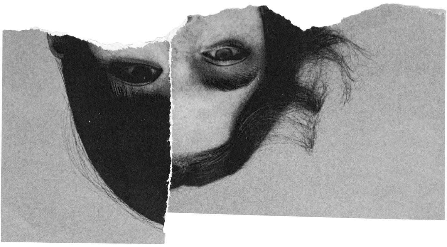 pic by elina araja pic by elina araja