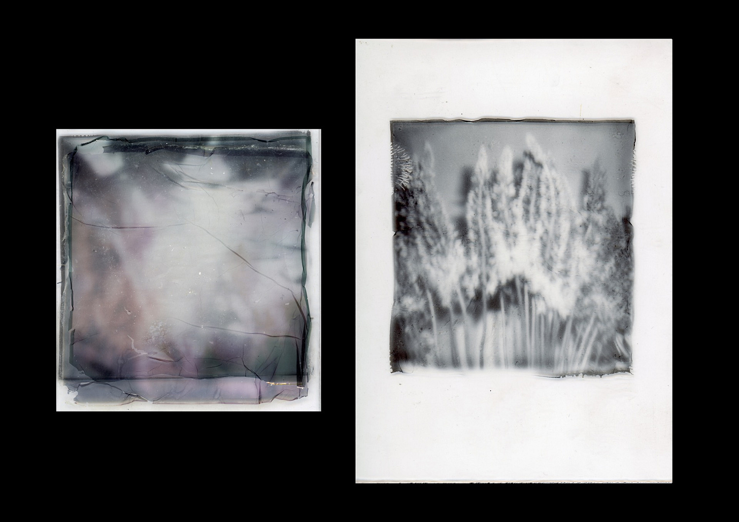 Limerence. Photos by Mabel Ranselli.