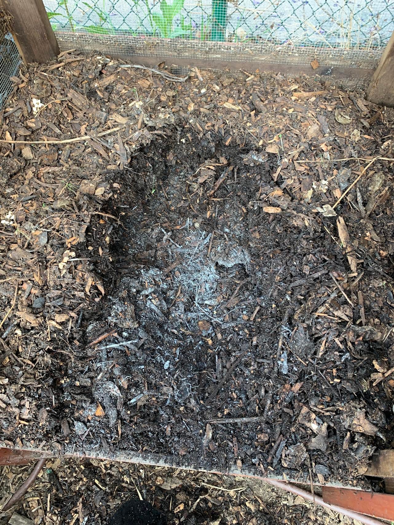 Compost Rotting Powder Getting hot with compost - by cass marketos - The Rot