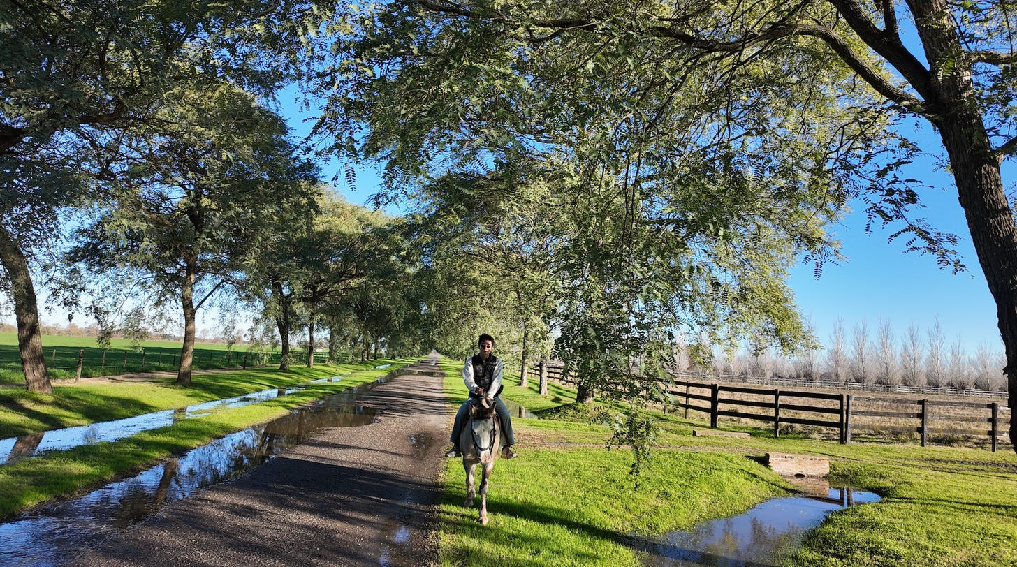 Haras Chenaut Haras Chenaut