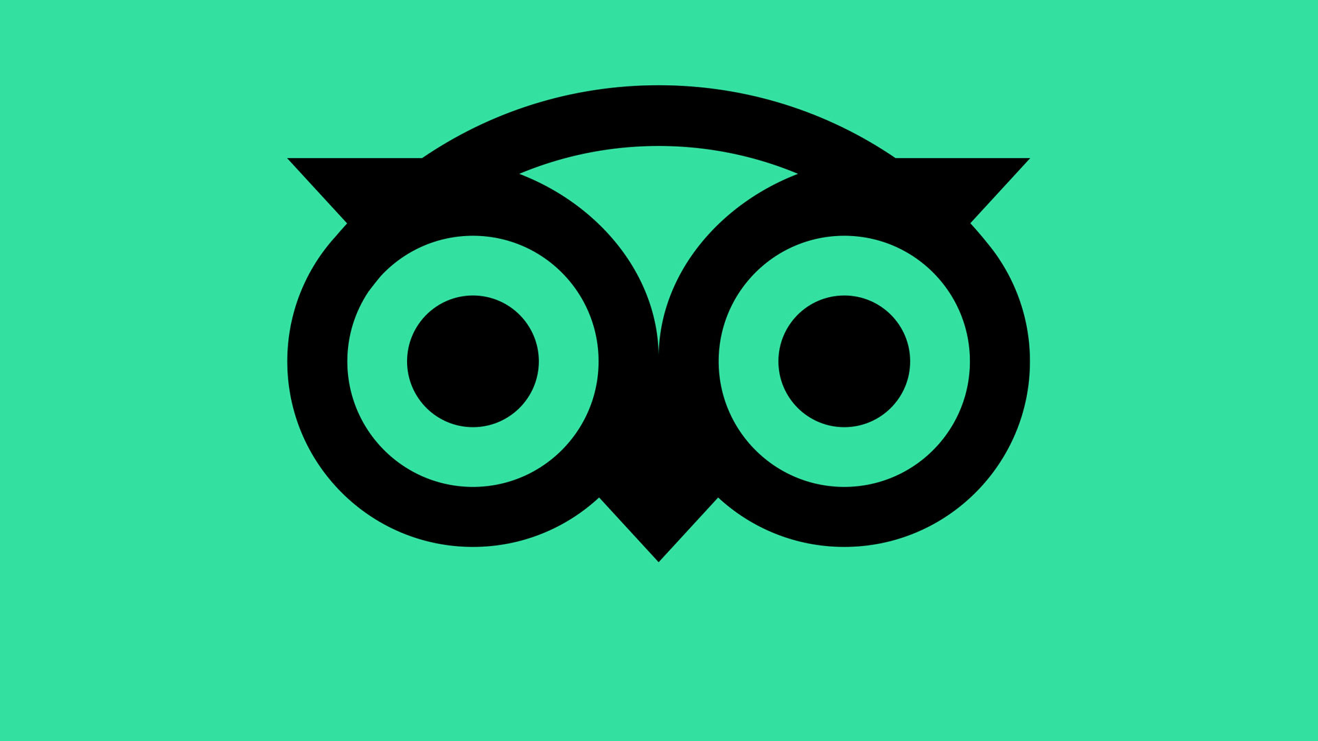 Substack profile picture for @tripadvisor