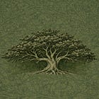 Introduction—Formation and Growth Series