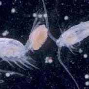 Artwork for an excuse to keep writing