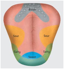 Are you tasting saltiness, sweetness, sourness, or bitterness? | Basal  Science Clarified