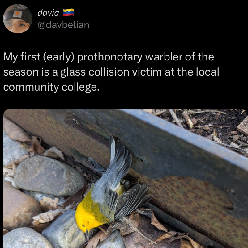 lights out for migrating birds