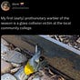 lights out for migrating birds's avatar