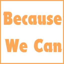 Because We Can