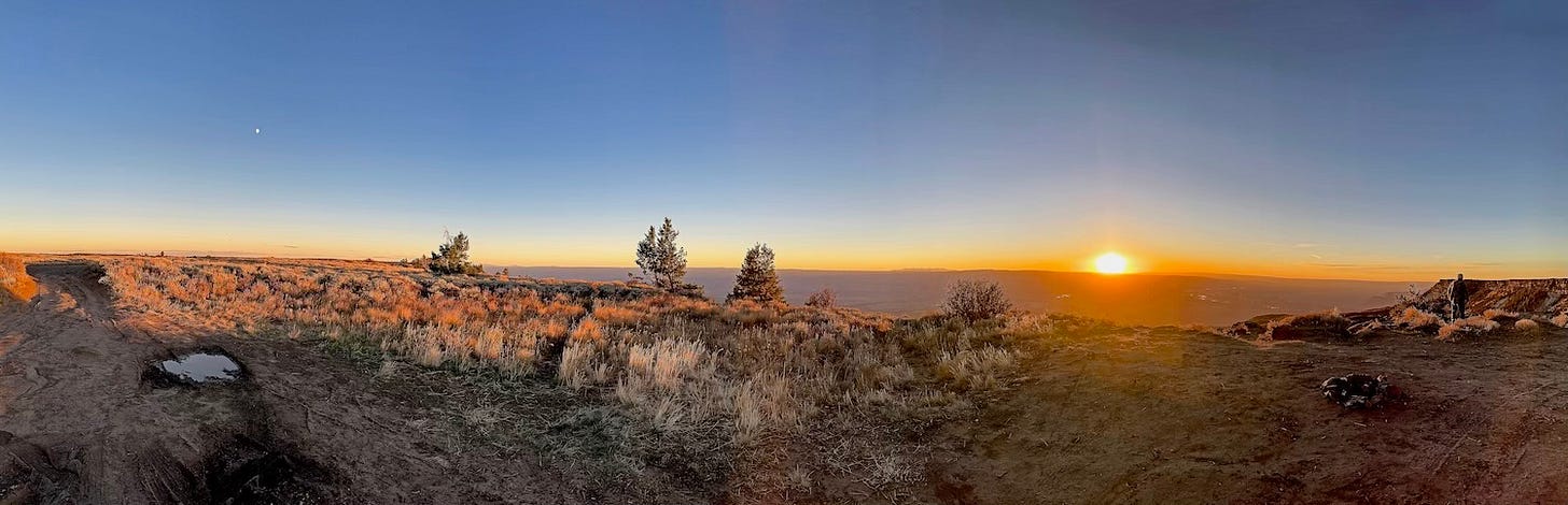A panoramic view of a grassy, rugged landscape at sunset, with the sun low on the horizon, clear blue sky, a few scattered trees, and warm golden light illuminating the scene.