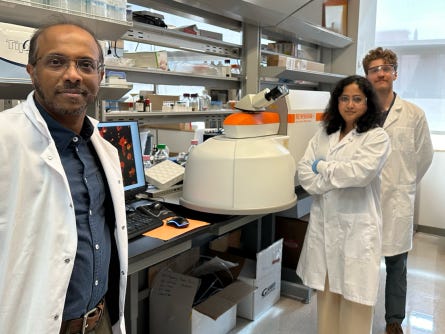 Newswise: ‘Better than graphene’ material development may improve implantable technology