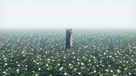 Other instances of scenes with a white background.