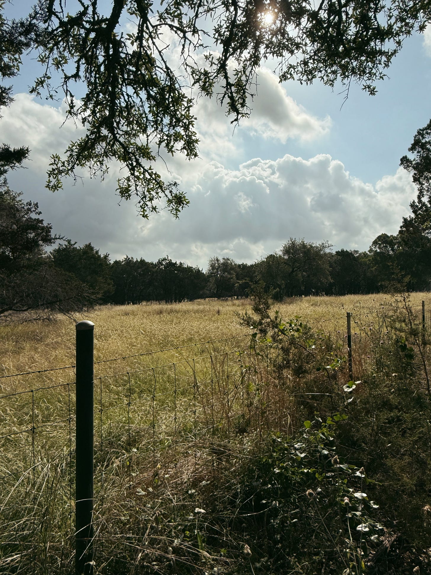 A photo capturing the morning light in Wimberley Texas