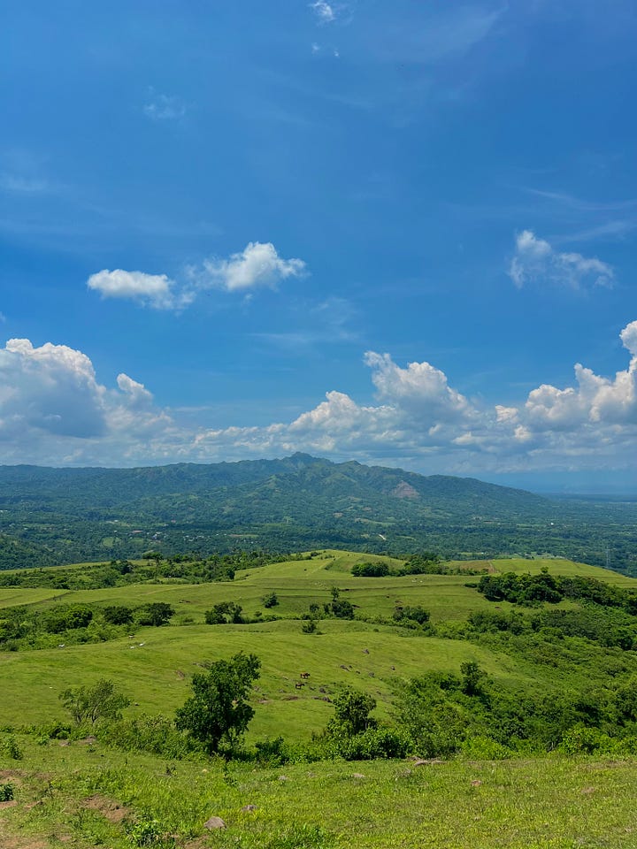 Sankt-Peterburg fohishalari Xolam bilan uning uyida jinsiy aloqa qilish