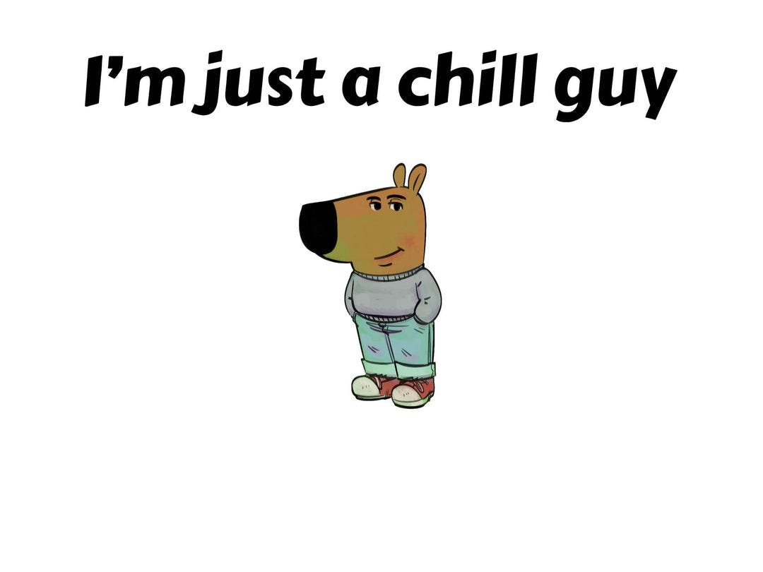 I'm Just a chill guy flag – The Flag Hut
