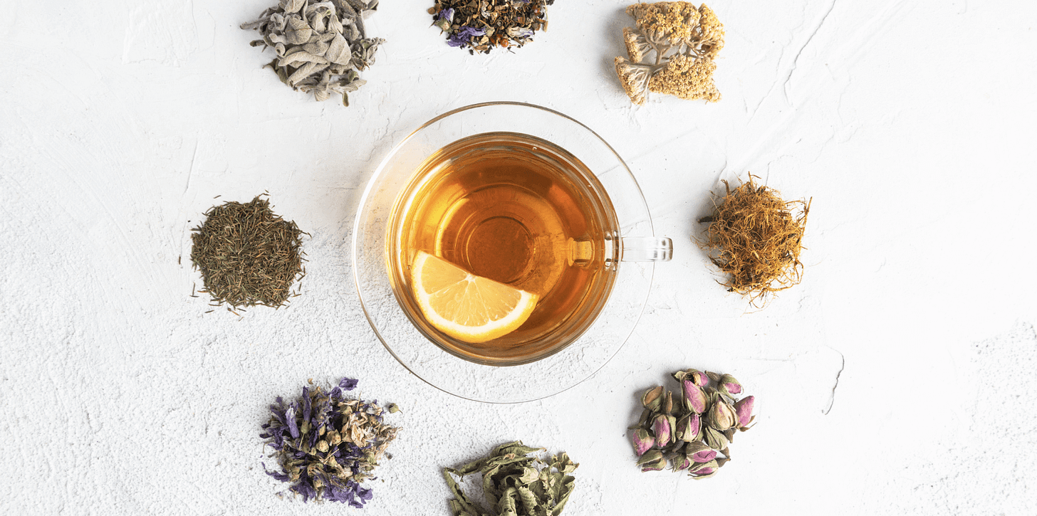 The Science of Tea: What Research Tells Us about the Benefits of an Ancestral Tradition - Bench Press The Science of Tea: What Research Tells Us about the Benefits of an Ancestral Tradition - Bench Press