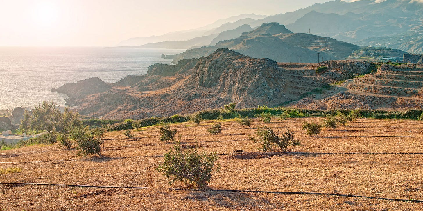what to eat in crete