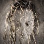 Narelle Carter-Quinlan's avatar