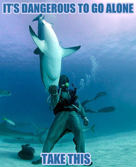 What can the funniest shark memes on the internetz teach us about ocean  science and conservation? – Southern Fried Science
