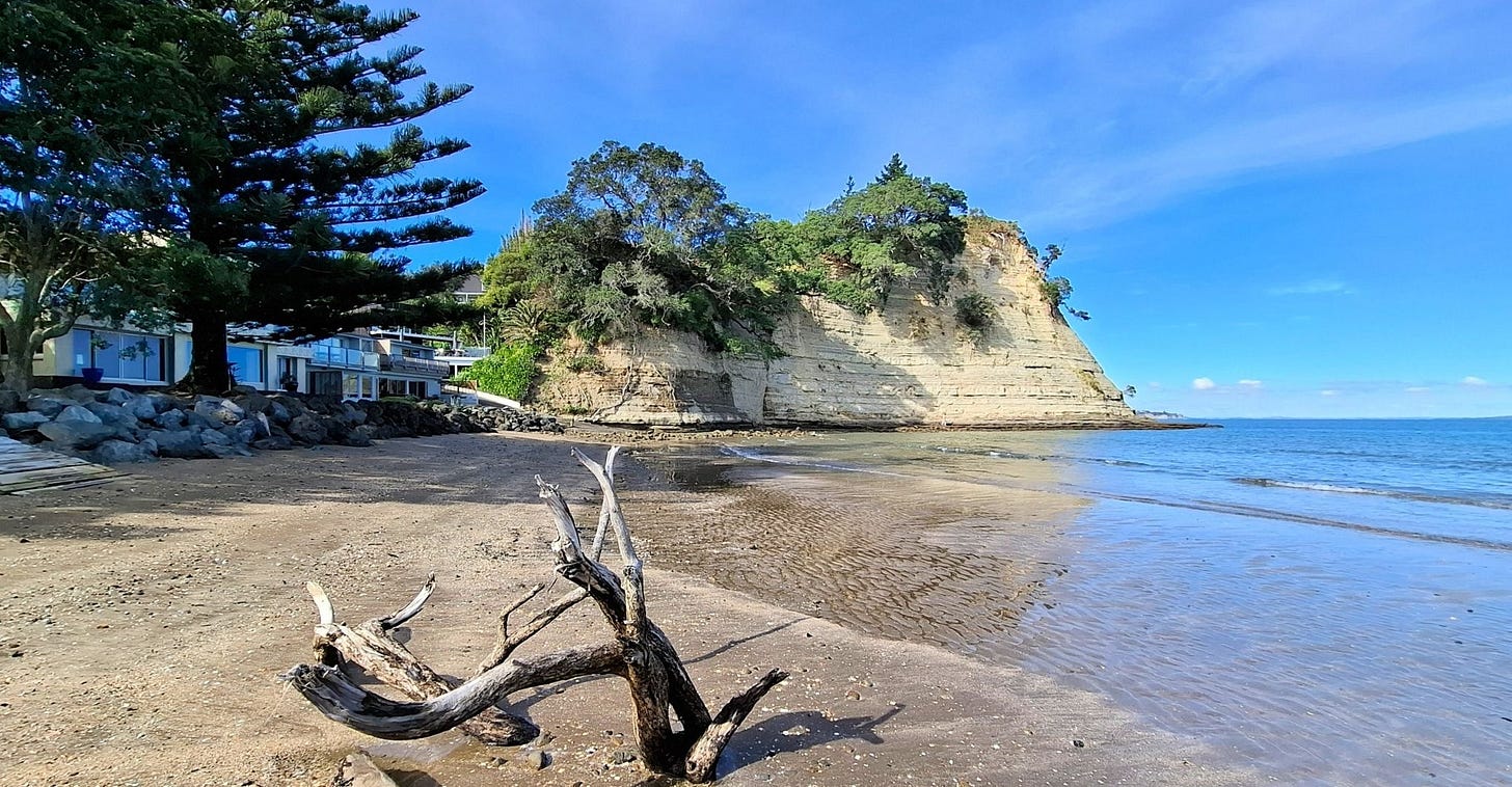 No alternative text description for this image