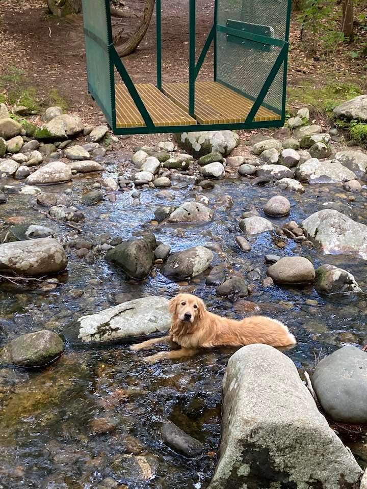 No photo description available.