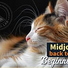 Midjourney — back to basics • 2 • Image Prompt