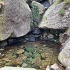 Repairing indifference