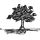 Jeff’s Substack