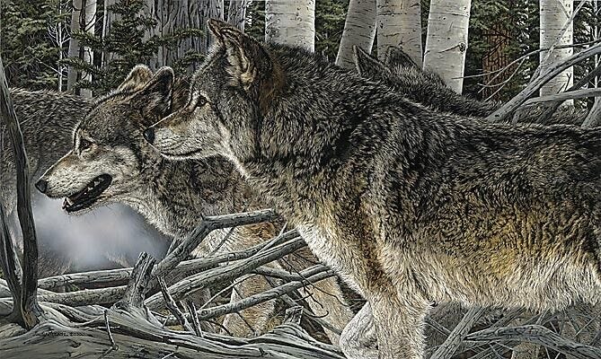 Judy Larson - Kinship - Wolves