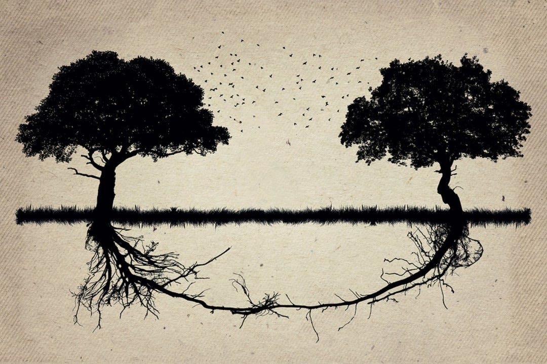 Black ink illustration of two trees with their roots connecting Black ink illustration of two trees with their roots connecting
