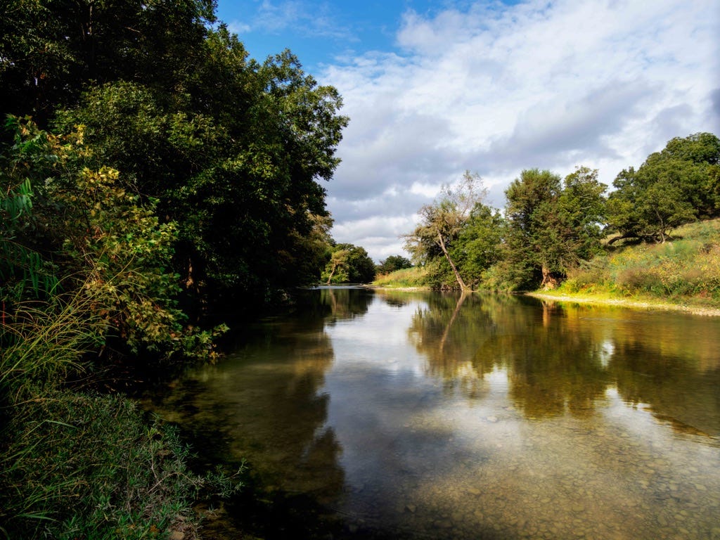 A river with trees and bushes

AI-generated content may be incorrect.