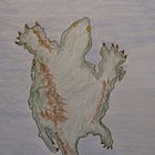 White settlers engaging in policy discussions around Indigenous issues.