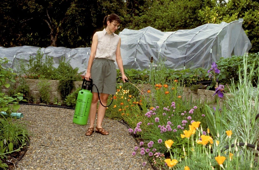 woman spraying garden woman spraying garden