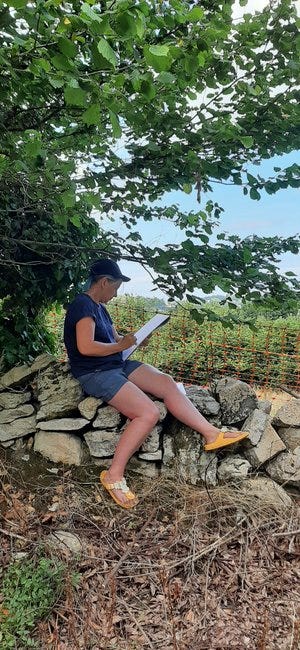 20220729_121149.jpg 20220729_121149.jpg