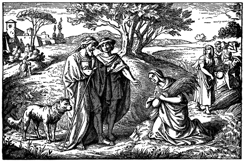 187981 ruth meets boaz while gleaning in lg 187981 ruth meets boaz while gleaning in lg