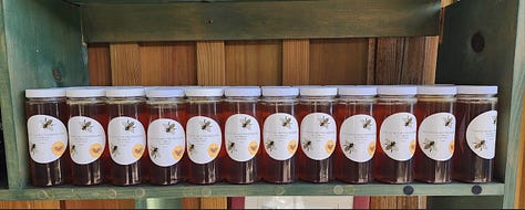 Pastel hued bee hives, a honey comb, and jars of golden honey on a shelf.