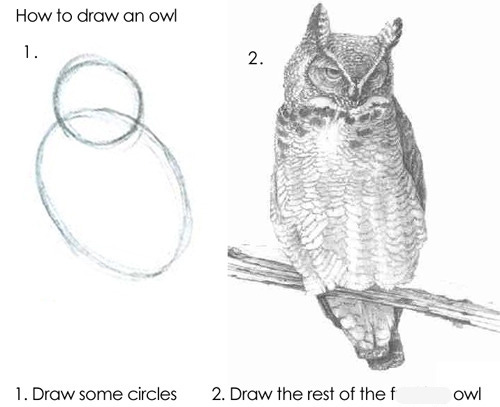 How to draw an owl. 1. Draw some circles 2. Draw the rest of the f-- owl